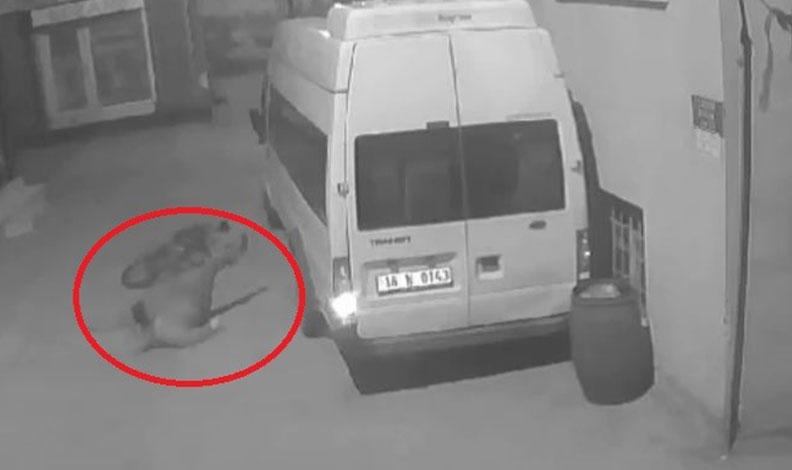 Bursa’da hırsız balkondaki montu çaldı