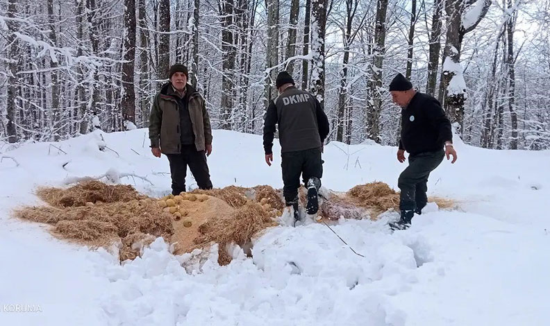 Bursa’da yaban hayvanları için doğaya yem bırakıldı
