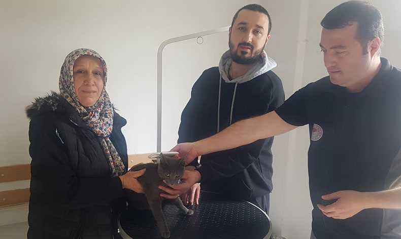 Kayıp kedi mikroçip sayesinde bulundu