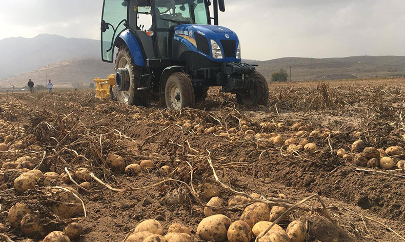 “Patates fiyatlarında artış yok”