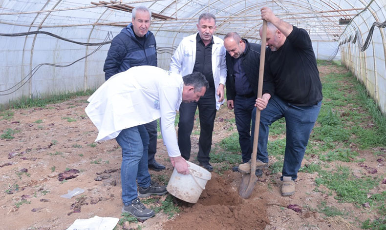 Örtü altı üreticiye destek