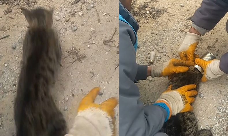 İşi gücü bırakıp yardıma koştular