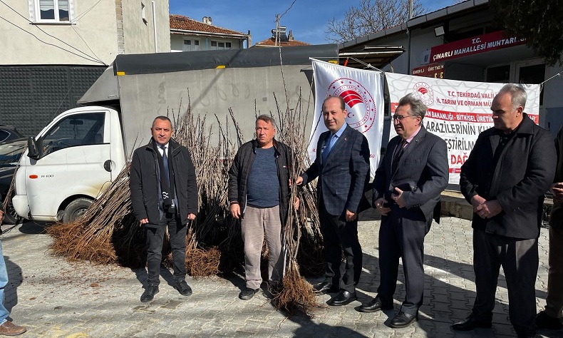 Altıparmak kiraz projesi fidan dağıtımı yapıldı