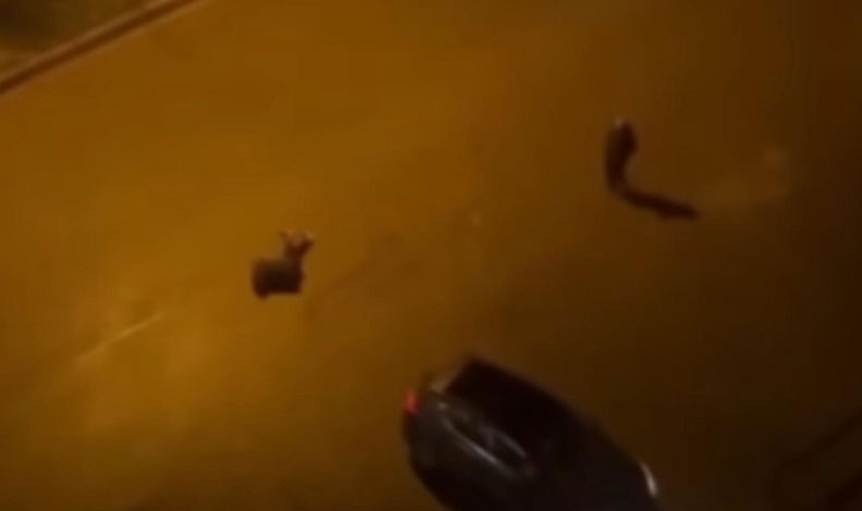 Batman’da cinayet: 2 ölü