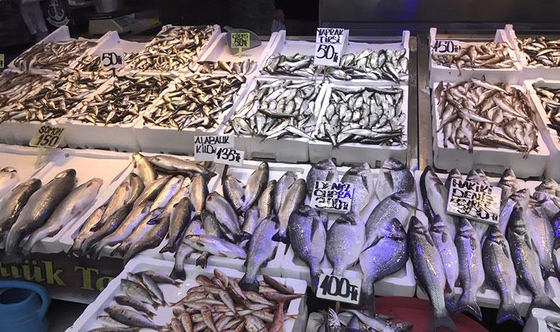 Balık çok alan yok