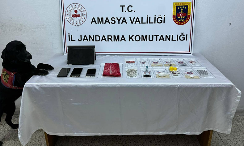 Jandarmadan uyuşturucu operasyonu