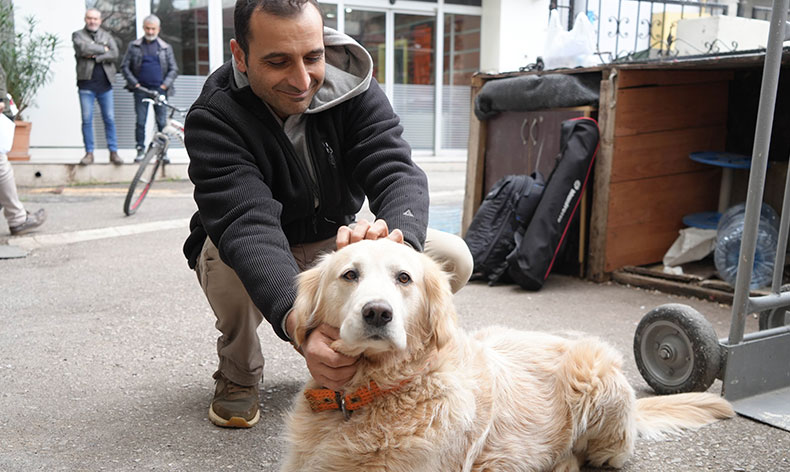 Köpeğin havlaması 700 bin TL’ye patladı