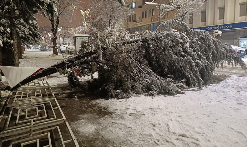 Aşırı kar yağışına dayanamayan ağaç yola devrildi