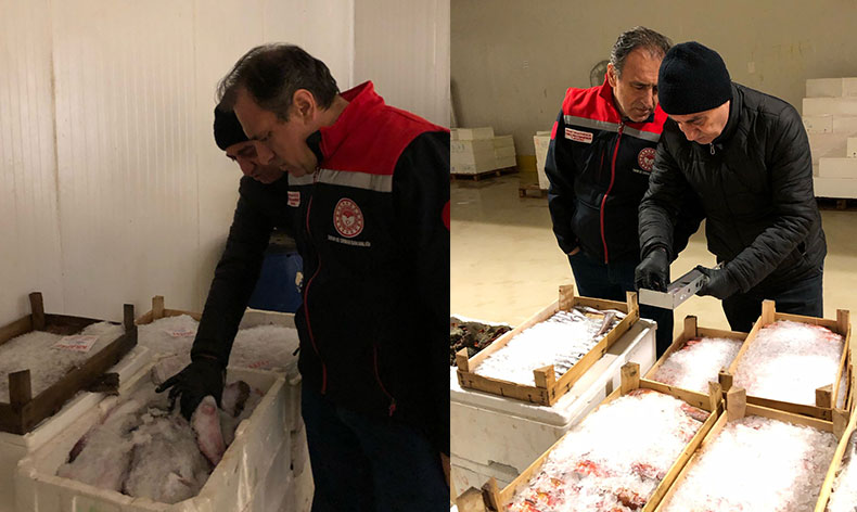 İstanbul’da yasa dışı ticari avcılık denetimi