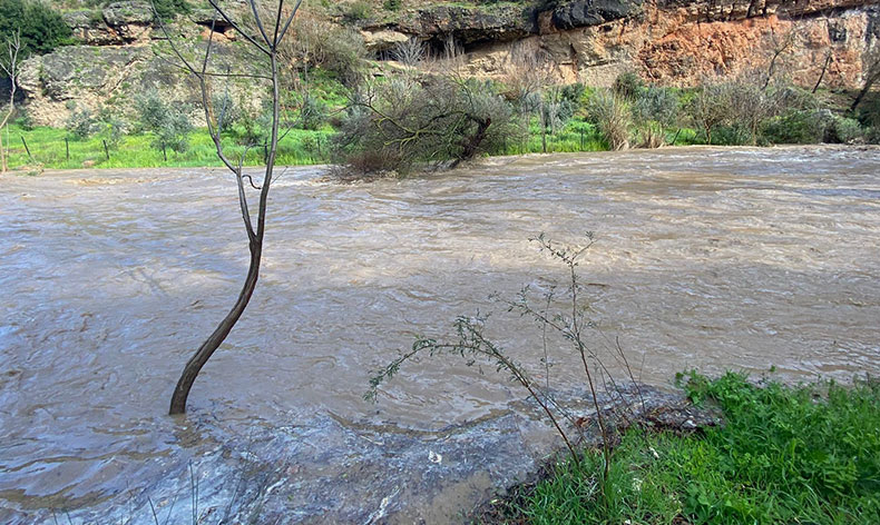 Şiddetli yağışla birlikte derelerin debisi yükseldi