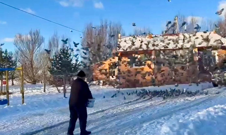 Ömrünün yarısını onları besleyerek geçirdi