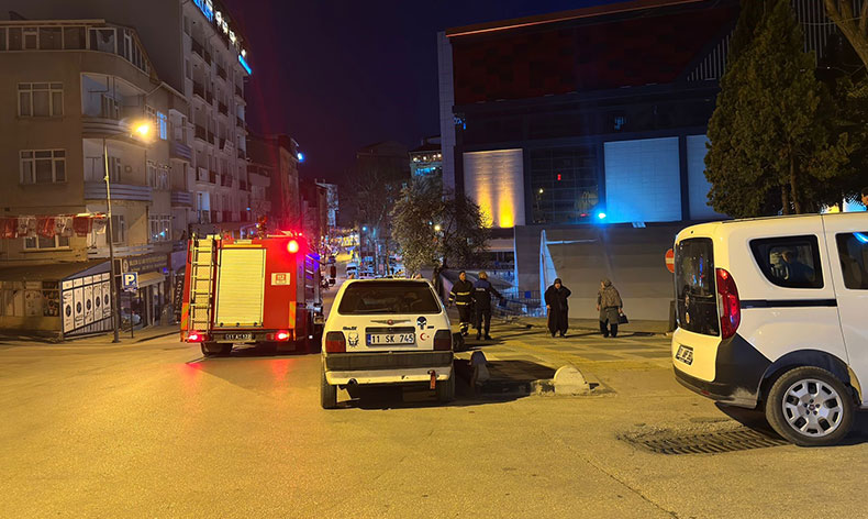 Bilecik’te çocuklar palmiye ağacını yaktı
