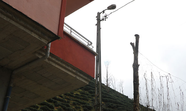 Elektrik direkleri köye dert oldu