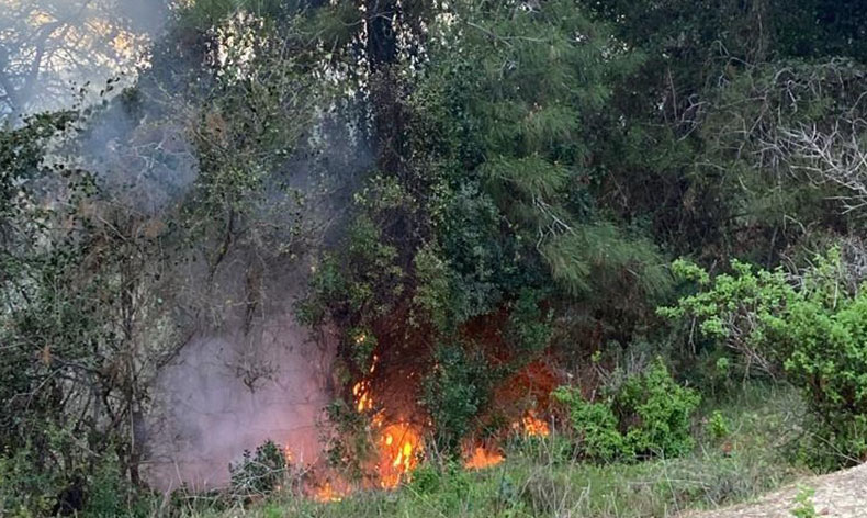 Yıldırım düşen ormanlık alanda yangın çıktı