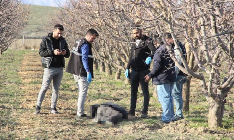 Yaşlı adam elma bahçesinde ölü bulundu