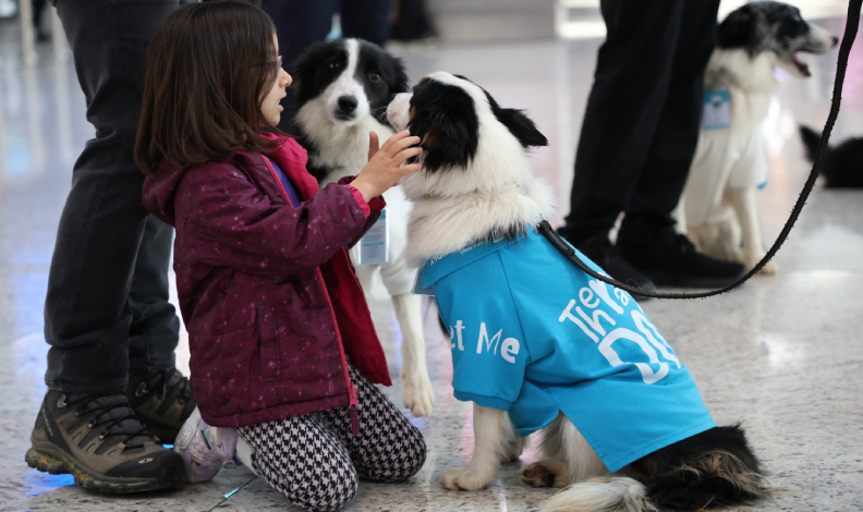 “Terapi Köpek Projesi”