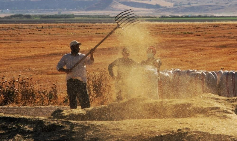 Tarım-ÜFE şubatta yüzde 58,29 oldu