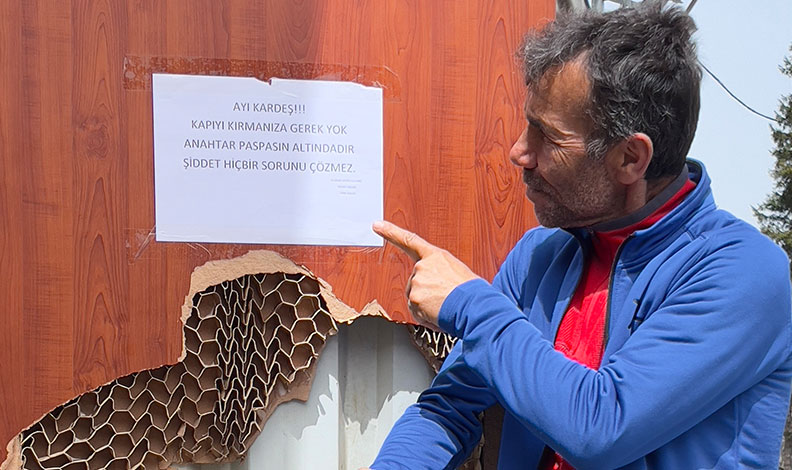 Ayı saldırılarından bıktı, çareyi ayıya not yazmakta buldu