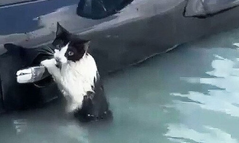 Aracın kapısına tutunarak yardım bekledi