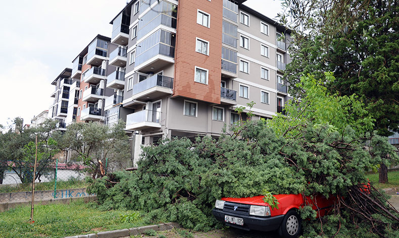 Fırtınada devrilen ağaç, aracın üstüne düştü