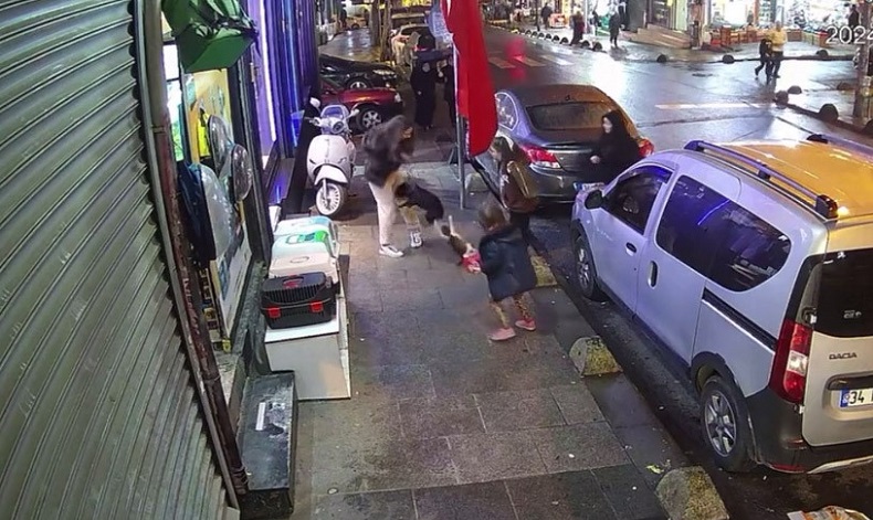 İstanbul’un piskopat kedisi