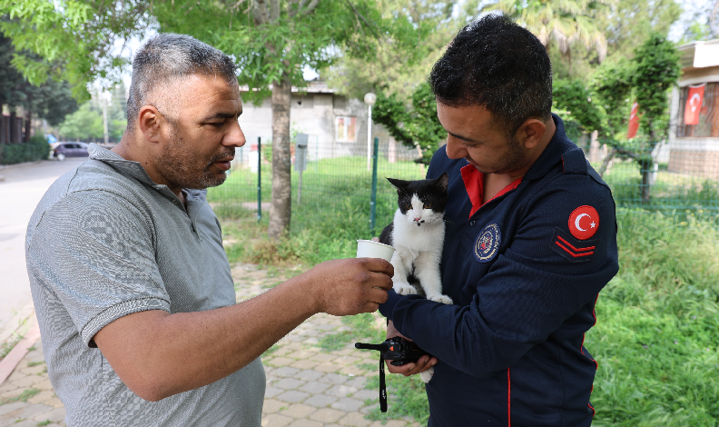 Ağaçta mahsur kalan kedi kurtarıldı