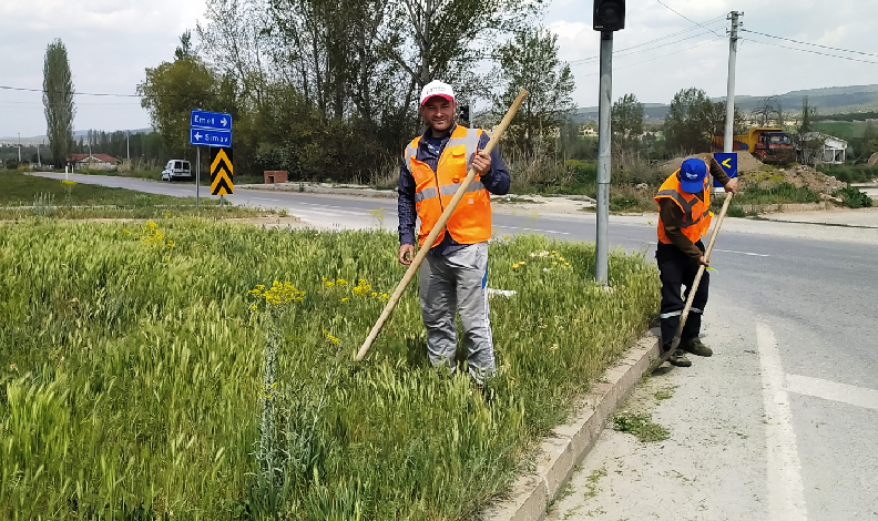 Hisarcık’ta yabani ot biçme çalışması