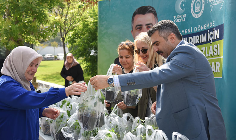 Yıldırım Belediyesi’nden 50 bin fide