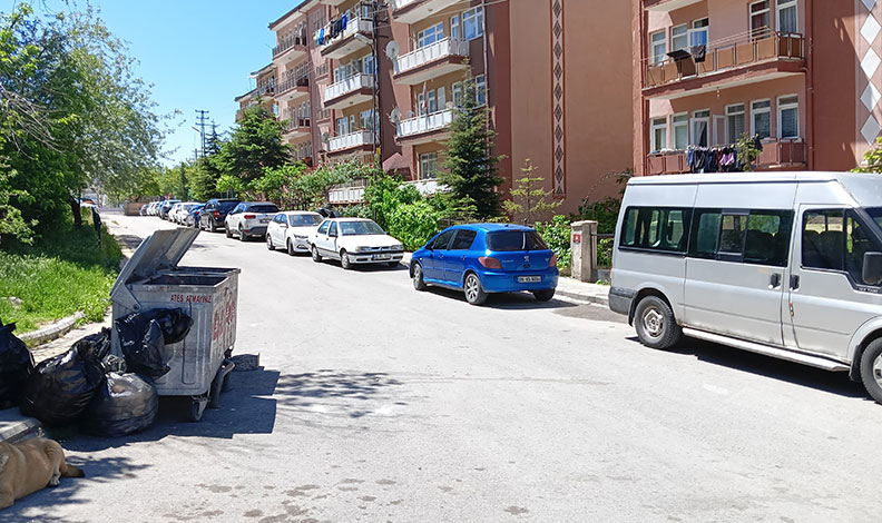 15 yaşındaki çocuk ablasını sırtından bıçaklayarak öldürdü