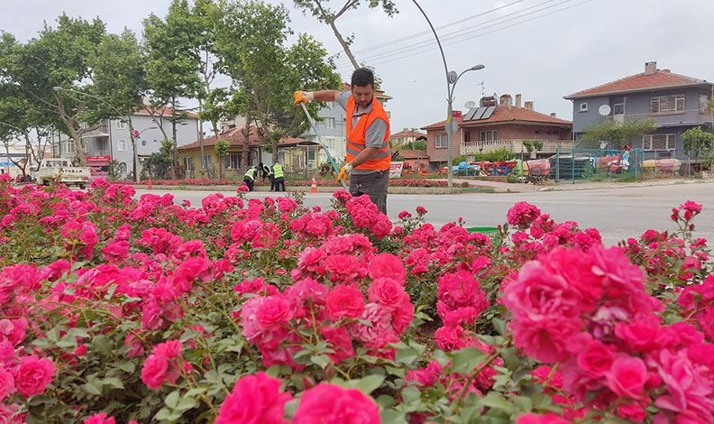 Yenişehir’in vitrininde bahar havası