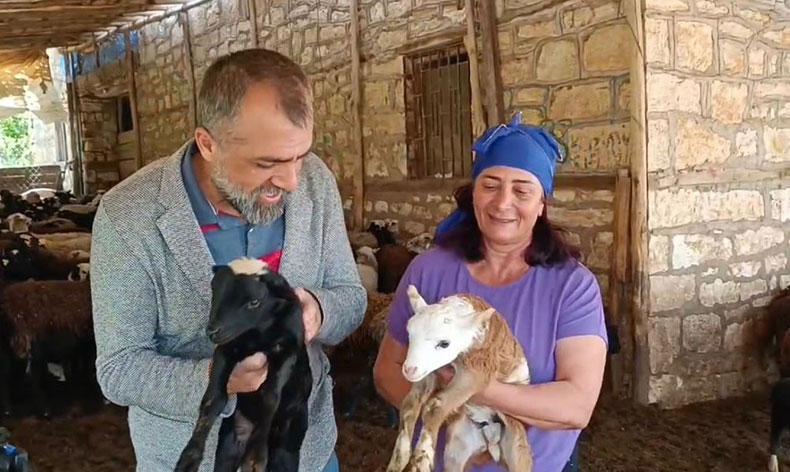 10 koyunla başladı, şimdi kendi işinin patronu oldu