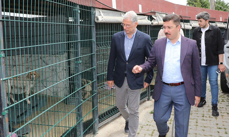 Sokak hayvanları için rehabilitasyon merkezi