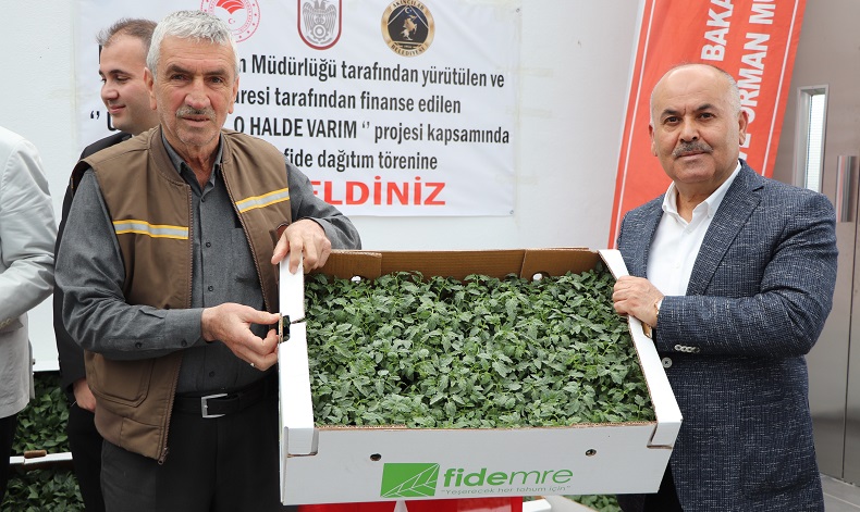 Akıncılar’da salçalık domates ve biber fidesi dağıtıldı