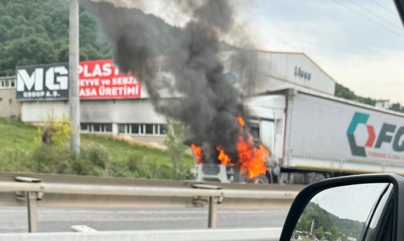 Seyir halindeki tır alev topuna döndü