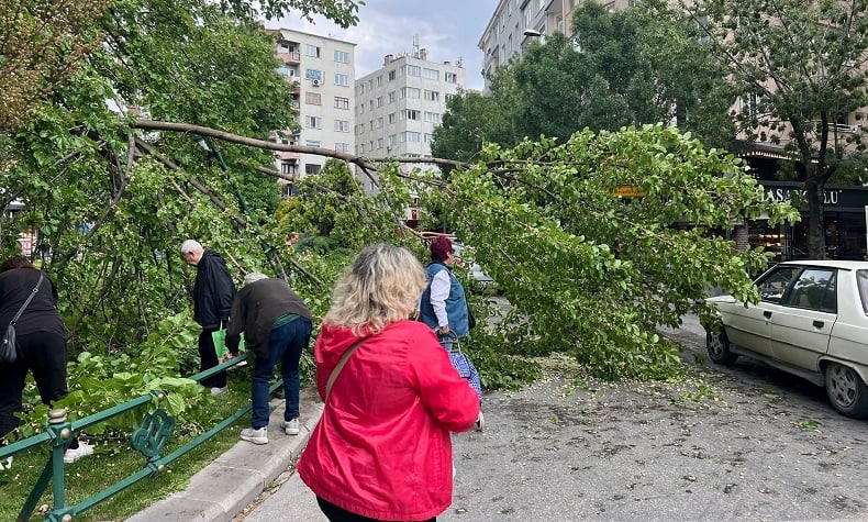 Devrilen ağaç yolu kapattı