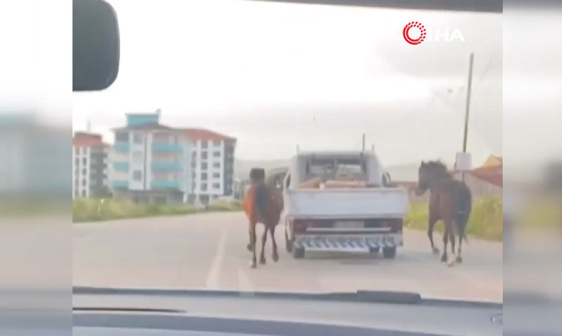 Atları aracın arkasına bağlayıp koşturdu