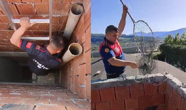 Mahsur kalan yavru güvercinler kurtarıldı