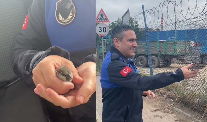 Uçamayan serçenin imdadına yetiştiler