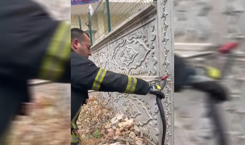Bahçeye giren yılanı itfaiye yakaladı