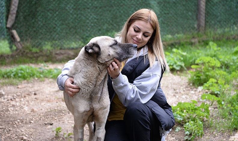 Bursa’da başıboş köpekler konusunda örnek çalışma