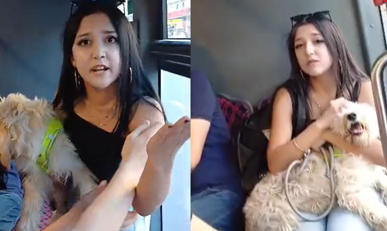 Köpekle otobüse bindi, tepki gösteren yolcularla tartıştı