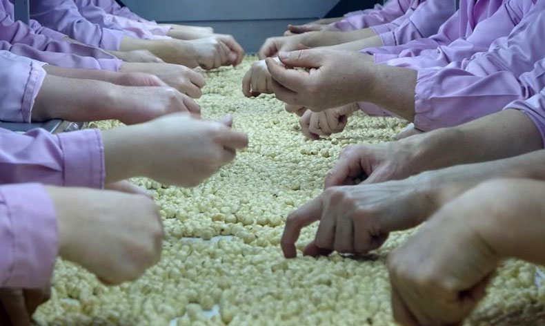 Düzce’de 5 bin 611 ton fındık ihraç edildi