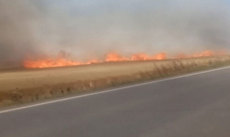 Tekirdağ’da 180 dönüm buğday cayır cayır yandı