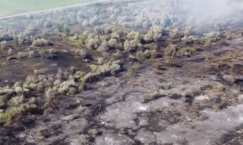 Çankırı’da 80 dönümlük mera kül oldu