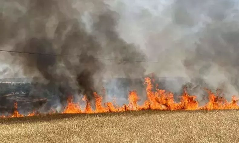 Çanakkale’de tarım arazisinde yangın