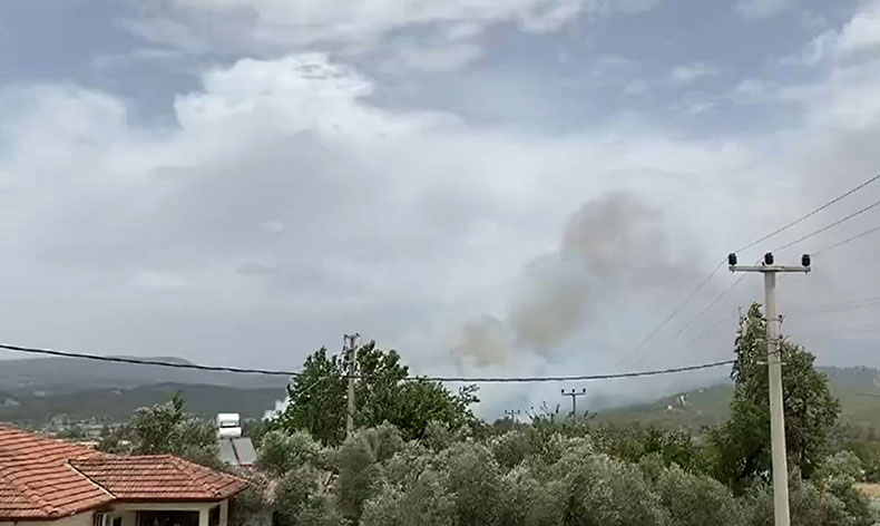 Muğla’da orman yangını başladı