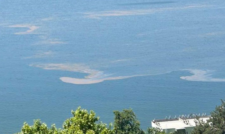 Marmara Denizi’nde müsilaj endişesi