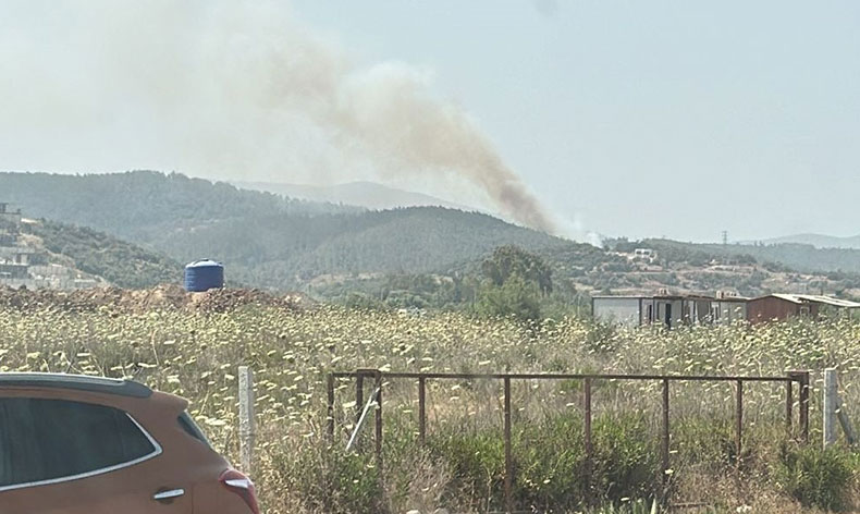 Milas’taki orman yangını kontrol altına alındı