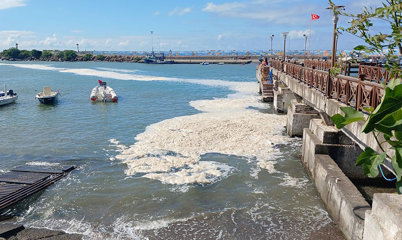 Karadeniz’de müsilaj yayılıyor