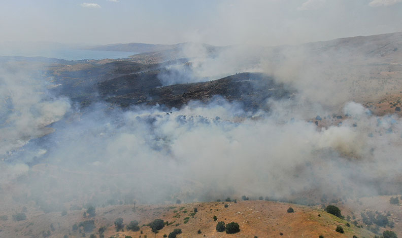 Elazığ’da orman yangını